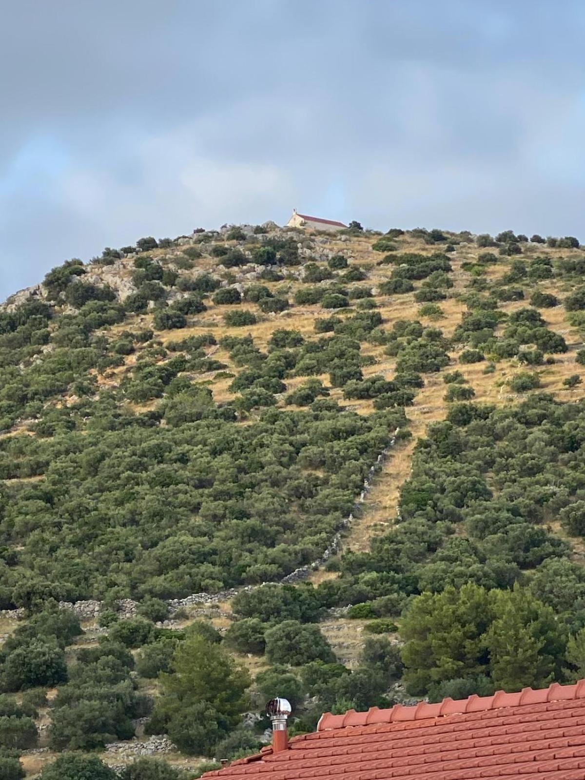 Apartman Ines Marina