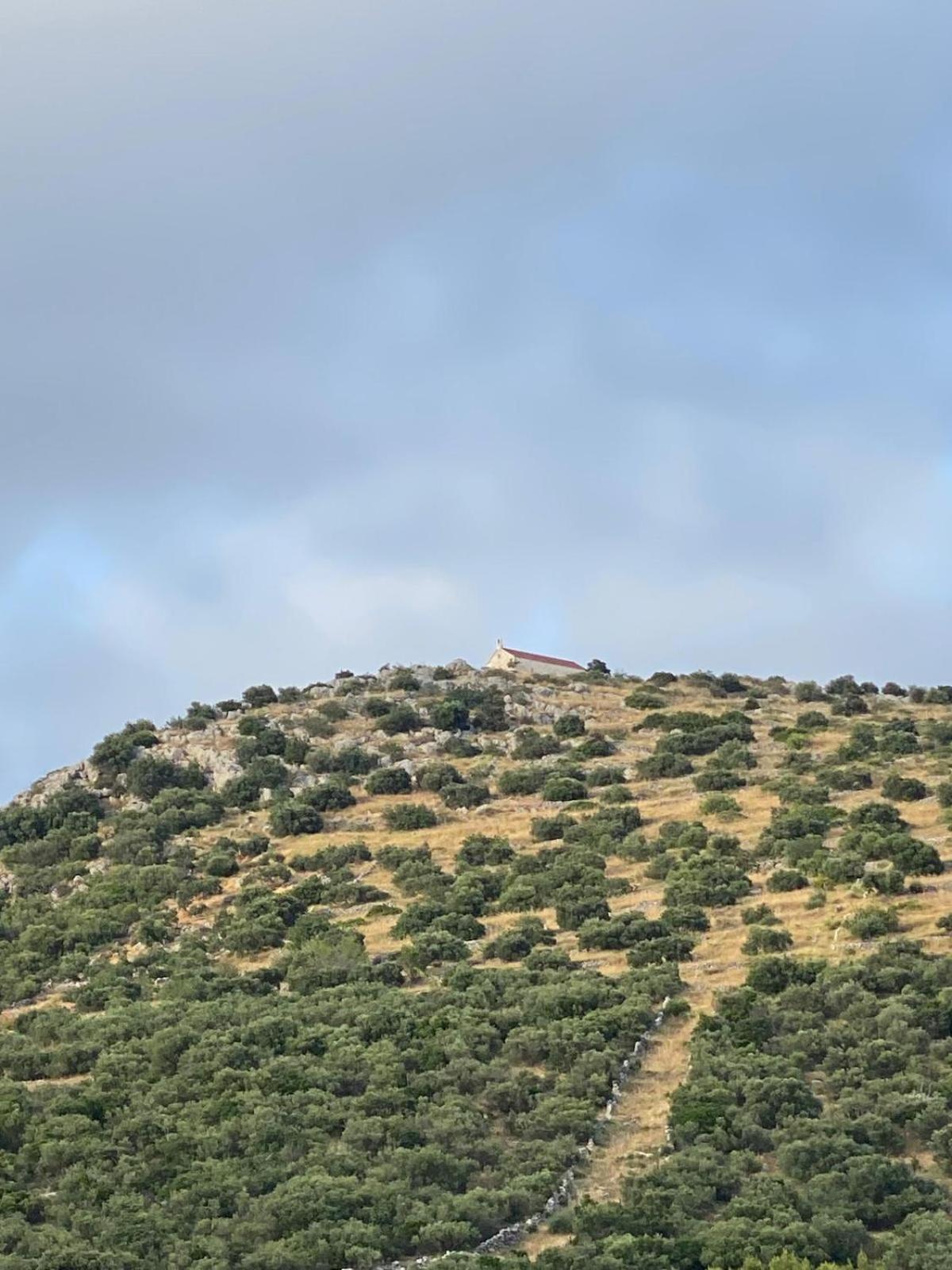 Apartament Ines